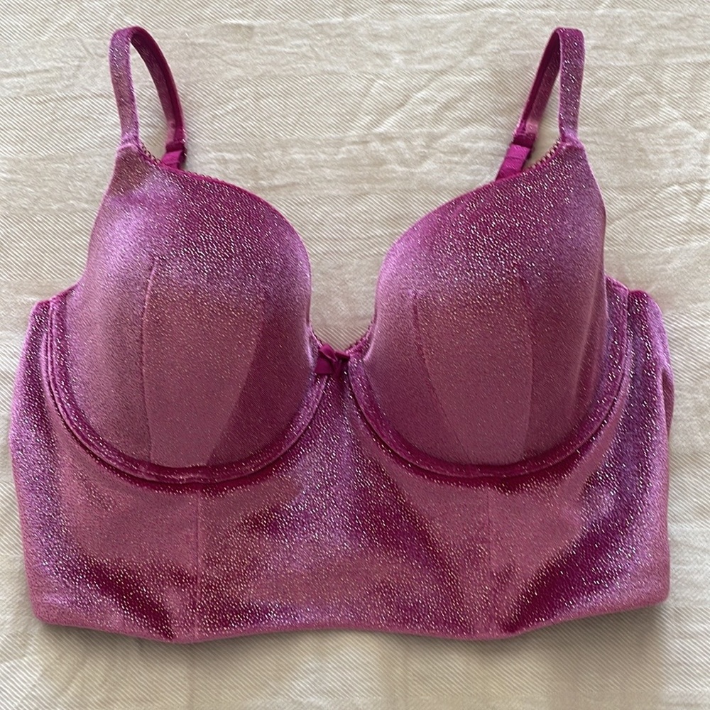 NWOT Victoria’s Secret Velvet Corset Bra